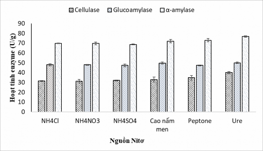 Hình 4 11 Ảnh hưởng của nguồn nitơ bổ sung đến sinh tổng hợp glucoamylase 4