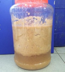 Hình 3 3 Bã sắn sau lên men 5 ngày Hình 3 4 Chế phẩm đa enzyme thô Hình 3 5 Lợn 6