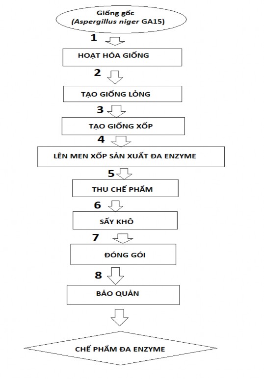 Hình 4 1 Qui trình lên men sản xuất đa enzyme qui mô pilot 3 Thuyết minh qui trình 1