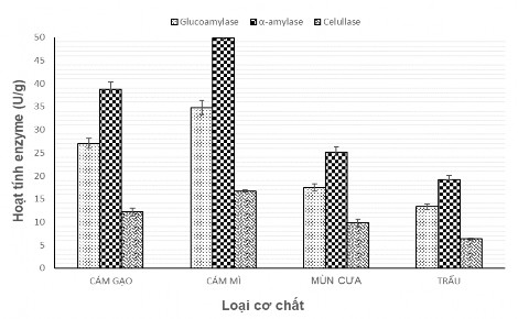 Hình 4 4 Ảnh hưởng của loại cơ chất đến sinh tổng hợp enzyme của chủng 1