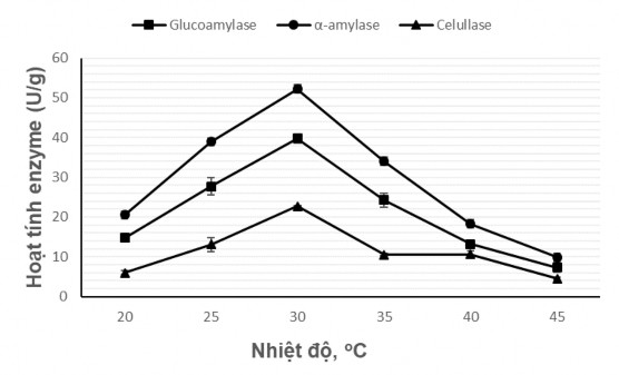 Hình 4 6 Ảnh hưởng của nhiệt độ lên men đến sinh tổng hợp glucoamylase 3