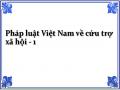 Pháp luật Việt Nam về cứu trợ xã hội - 1