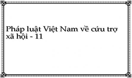 Pháp luật Việt Nam về cứu trợ xã hội - 11