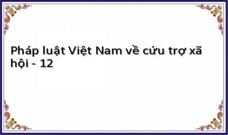 Pháp luật Việt Nam về cứu trợ xã hội - 12