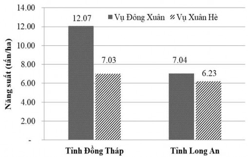 Hình 3 1 Năng suất ngô qua các mùa vụ tại tỉnh Long An và Đồng Tháp Bảng 3 11 1