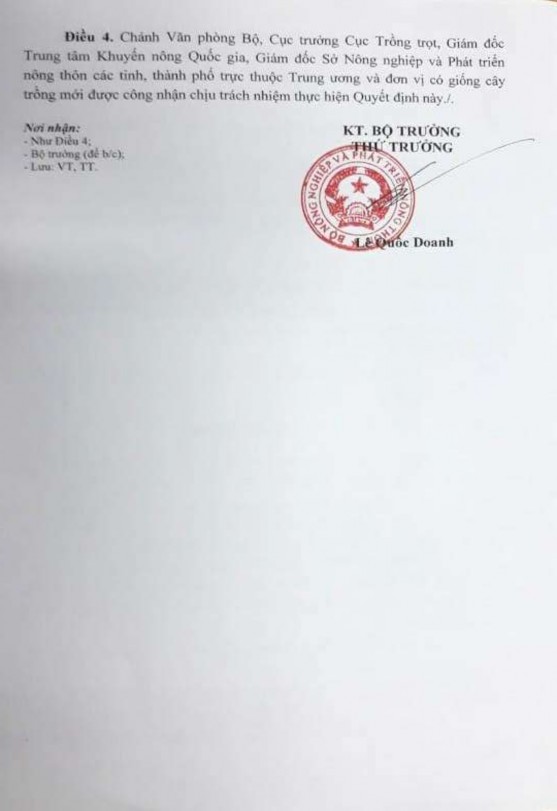 Phụ lục 6 Đặc điểm các giống ngô lai tham gia thí nghiệm Giống NK67 được 2