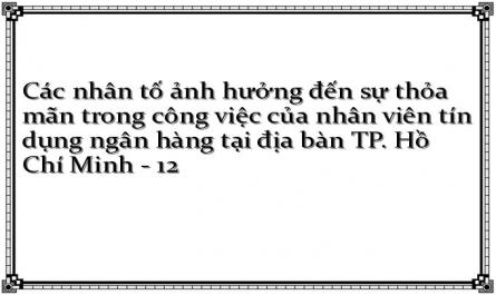 Các nhân tố ảnh hưởng đến sự thỏa mãn trong công việc của nhân viên tín dụng ngân hàng tại địa bàn TP. Hồ Chí Minh - 12