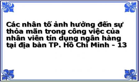 Các nhân tố ảnh hưởng đến sự thỏa mãn trong công việc của nhân viên tín dụng ngân hàng tại địa bàn TP. Hồ Chí Minh - 13