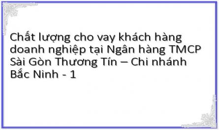 Chất lượng cho vay khách hàng doanh nghiệp tại Ngân hàng TMCP Sài Gòn Thương Tín – Chi nhánh Bắc Ninh - 1