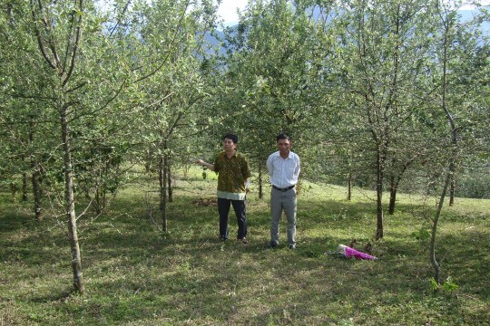 Ảnh Khảo sát địa bàn bố trí thí nghiệm đề tài tại Phỏng Lái – Thuận 1