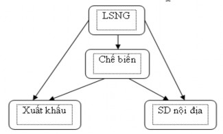 Hình 4 11 Các kênh tiêu thụ tổng quát Luồng Chi cục Lâm nghiệp Thanh Hóa 2008 3