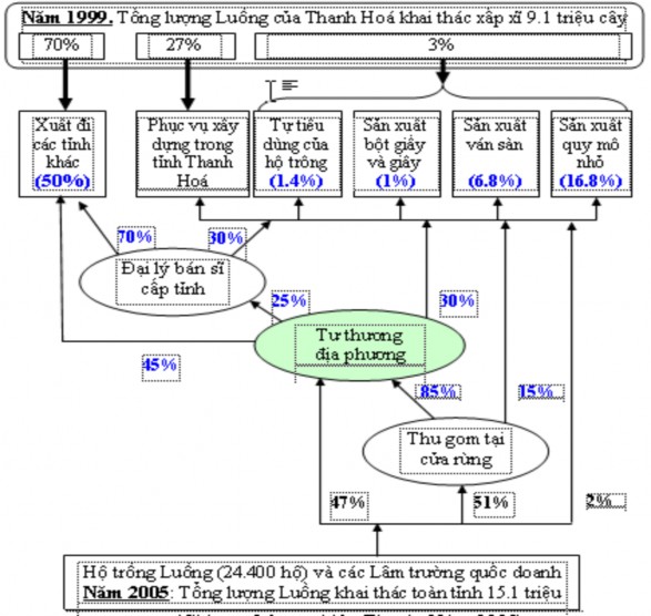 Chi cục Lâm nghiệp Thanh Hóa 2008 Hình 4 12 Sơ đồ tiêu thụ Luồng tại tỉnh 4