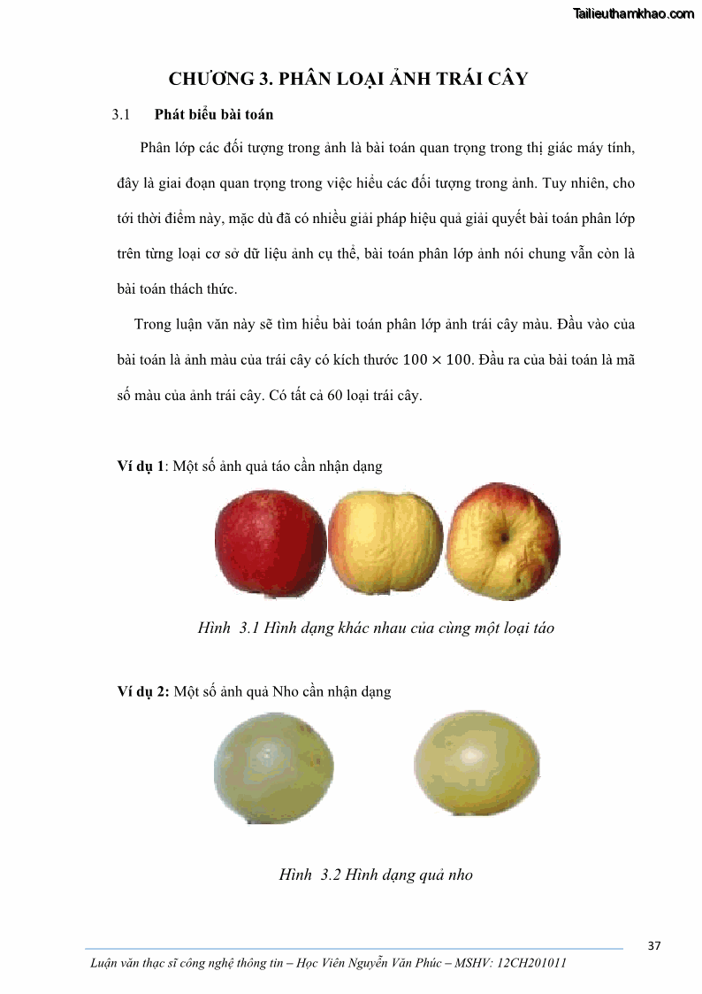 Luận văn thạc sĩ công nghệ thông tin Ứng dụng học sâu trong phân loại trái cây - 4 Trang 47