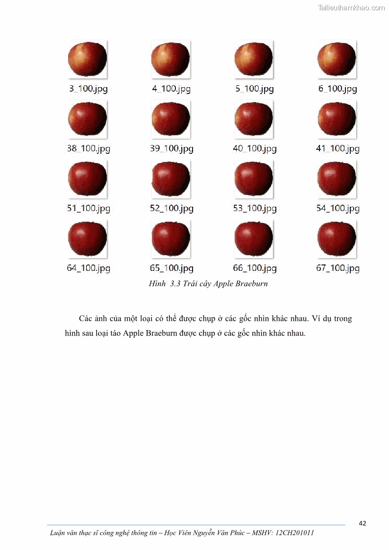 Luận văn thạc sĩ công nghệ thông tin Ứng dụng học sâu trong phân loại trái cây - 5 Trang 52