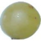 Hình 3 2 Hình dạng quả nho Chúng ta có thể mô hình lại bài toán như sau Input 8