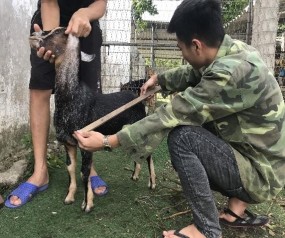 Ảnh 12 Đo vòng ngực Ảnh 13 Đo dài thân chéo Ảnh 14 Đo vòng ống Ảnh 15 11