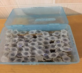 Ảnh 21 Thu thập mẫu Ảnh 21 Làm sạch mẫu 18