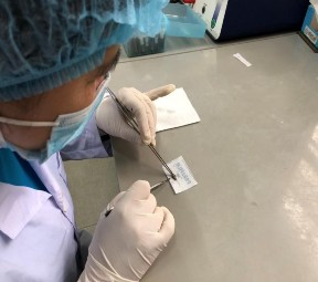 Ảnh 21 Thu thập mẫu Ảnh 21 Làm sạch mẫu 19