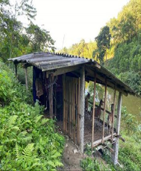 Ảnh 2 3 Chuồng nuôi dê của các hộ dân Ảnh 4 5 6 7 Dê được thả đi ăn 3