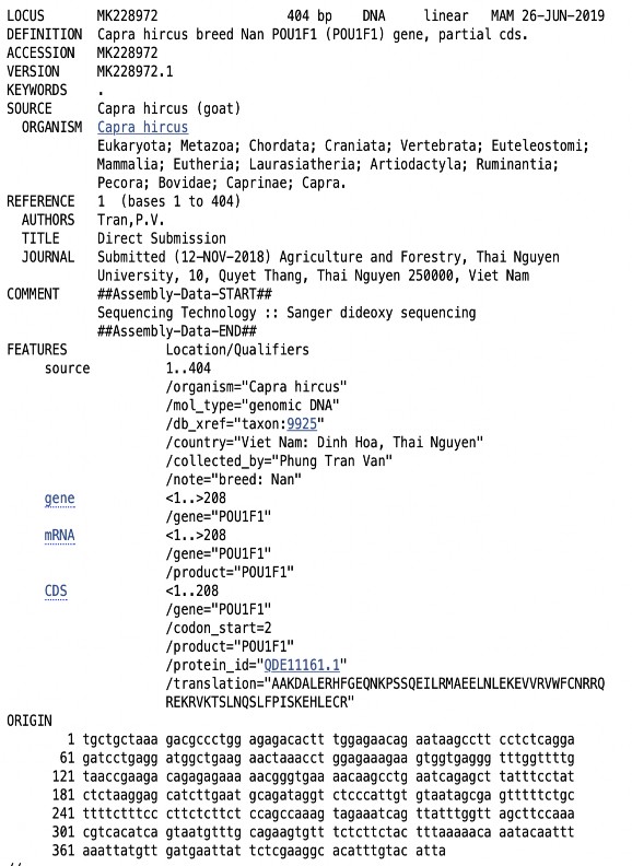 Hình 3 Kết quả đăng ký trình tự gen POU1F1 trên ngân hàng gen thế giới 3