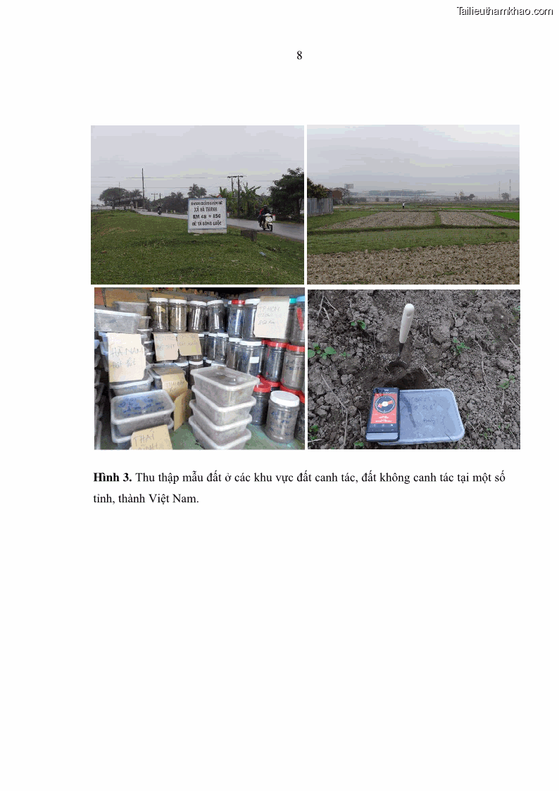 Luận án tiến sĩ bảo vệ thực vật Nghiên cứu sự đa dạng và độc tính của vi khuẩn Bacillus thuringiensis var. kurstaki trên sâu ăn lá hại rau ở Việt Nam - 14 Trang 166