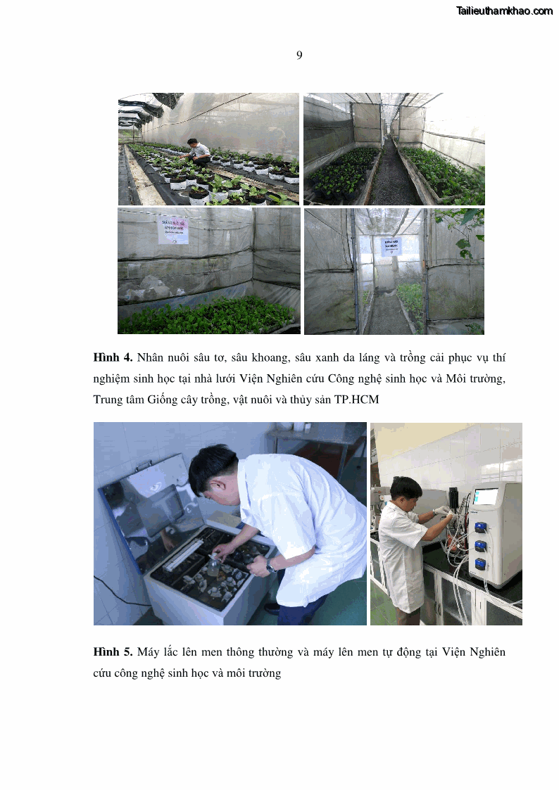 Luận án tiến sĩ bảo vệ thực vật Nghiên cứu sự đa dạng và độc tính của vi khuẩn Bacillus thuringiensis var. kurstaki trên sâu ăn lá hại rau ở Việt Nam - 14 Trang 167