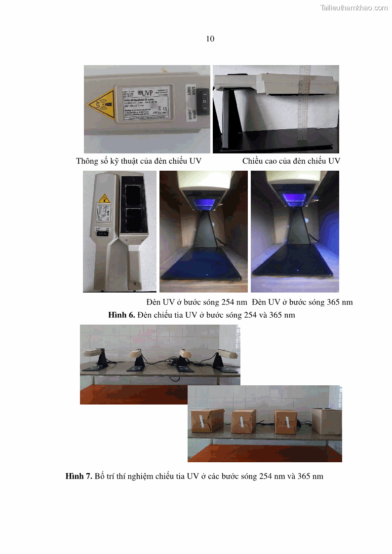 Luận án tiến sĩ bảo vệ thực vật Nghiên cứu sự đa dạng và độc tính của vi khuẩn Bacillus thuringiensis var. kurstaki trên sâu ăn lá hại rau ở Việt Nam - 14 Trang 168