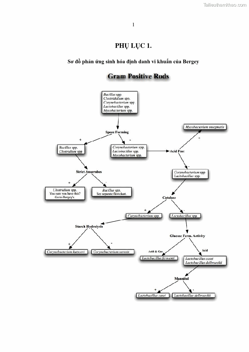 Luận án tiến sĩ bảo vệ thực vật Nghiên cứu sự đa dạng và độc tính của vi khuẩn Bacillus thuringiensis var. kurstaki trên sâu ăn lá hại rau ở Việt Nam - 14 Trang 159