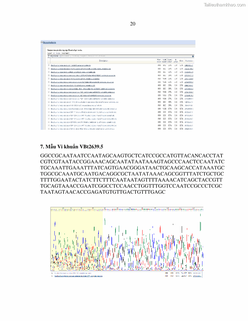 Luận án tiến sĩ bảo vệ thực vật Nghiên cứu sự đa dạng và độc tính của vi khuẩn Bacillus thuringiensis var. kurstaki trên sâu ăn lá hại rau ở Việt Nam - 15 Trang 178