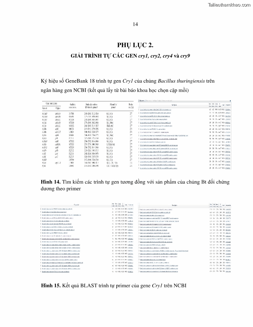 Luận án tiến sĩ bảo vệ thực vật Nghiên cứu sự đa dạng và độc tính của vi khuẩn Bacillus thuringiensis var. kurstaki trên sâu ăn lá hại rau ở Việt Nam - 15 Trang 172