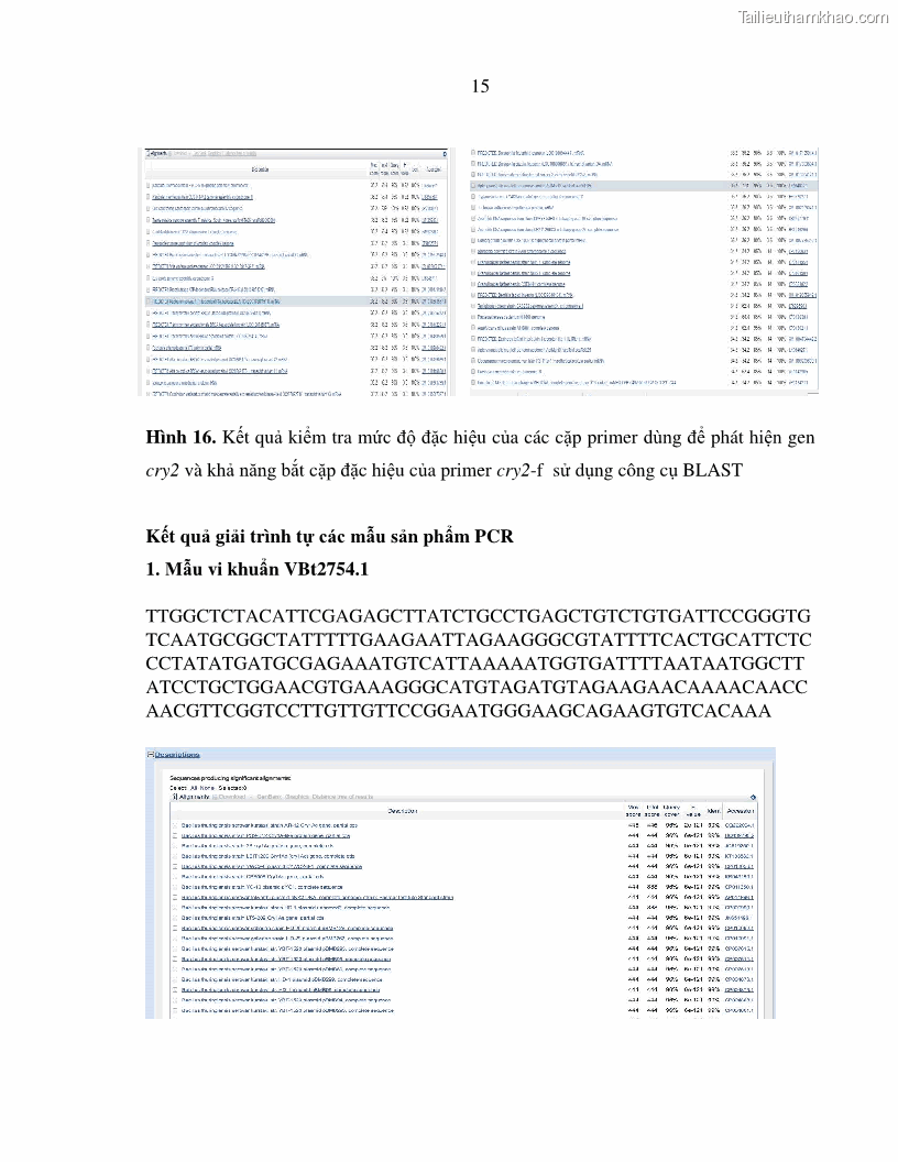 Luận án tiến sĩ bảo vệ thực vật Nghiên cứu sự đa dạng và độc tính của vi khuẩn Bacillus thuringiensis var. kurstaki trên sâu ăn lá hại rau ở Việt Nam - 15 Trang 173