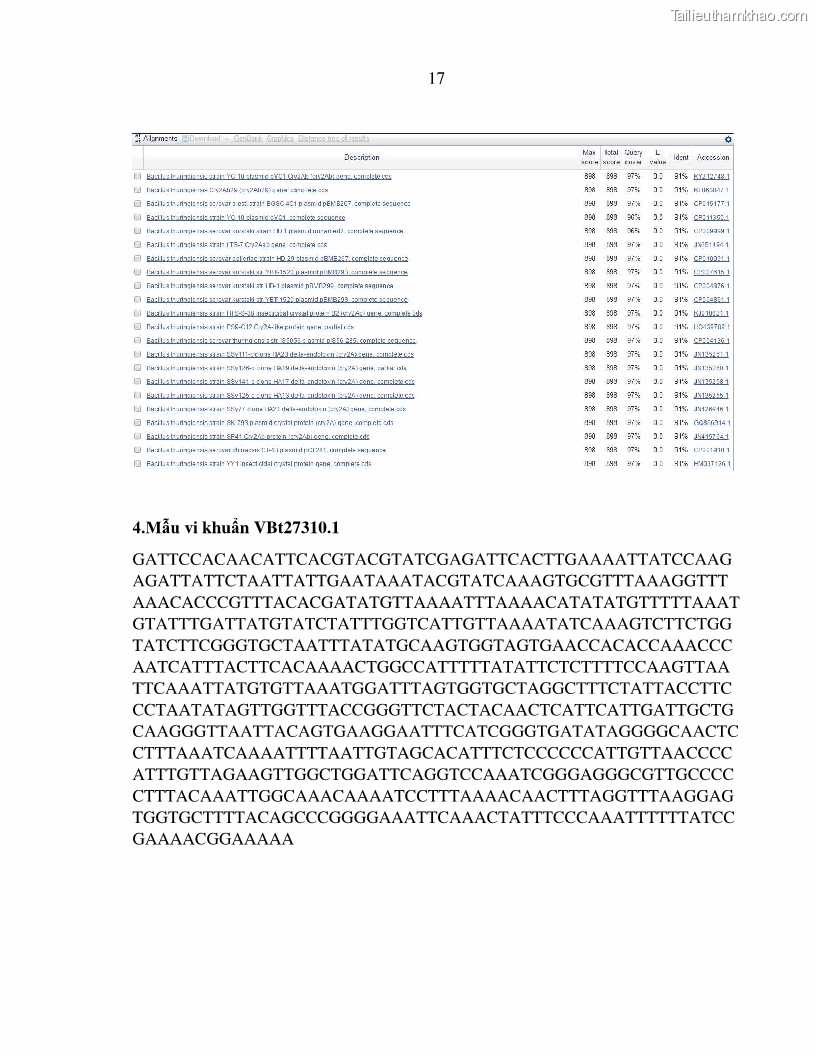 Luận án tiến sĩ bảo vệ thực vật Nghiên cứu sự đa dạng và độc tính của vi khuẩn Bacillus thuringiensis var. kurstaki trên sâu ăn lá hại rau ở Việt Nam - 15 Trang 175