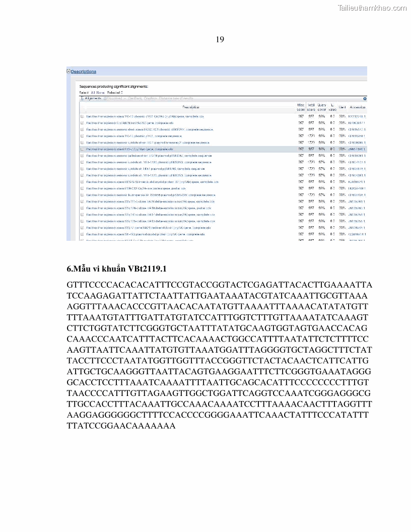 Luận án tiến sĩ bảo vệ thực vật Nghiên cứu sự đa dạng và độc tính của vi khuẩn Bacillus thuringiensis var. kurstaki trên sâu ăn lá hại rau ở Việt Nam - 15 Trang 177