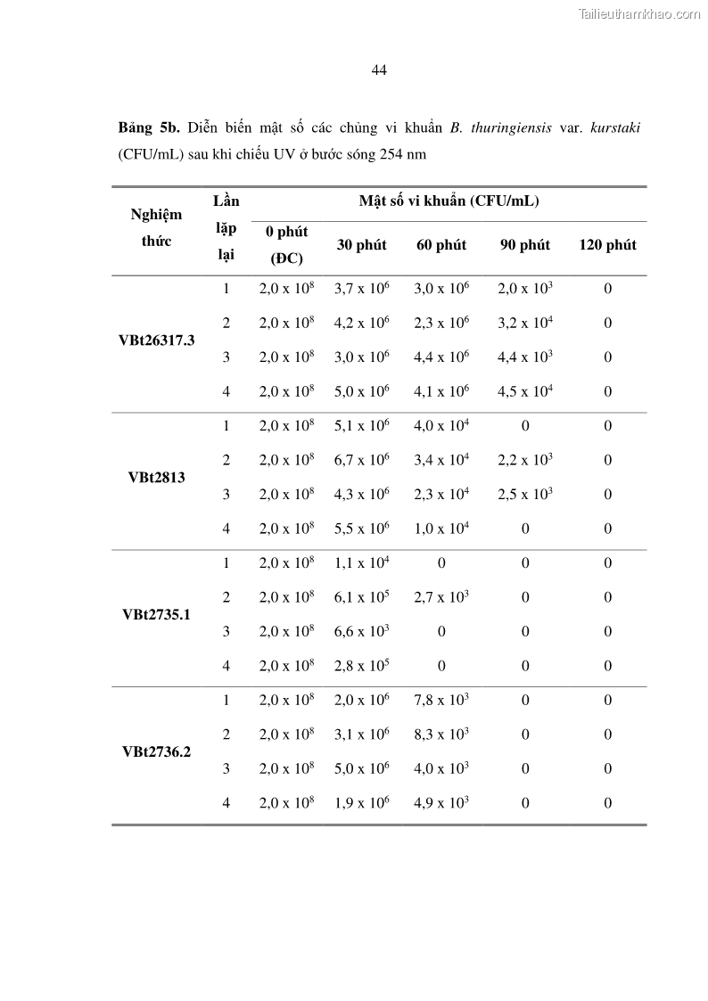 Luận án tiến sĩ bảo vệ thực vật Nghiên cứu sự đa dạng và độc tính của vi khuẩn Bacillus thuringiensis var. kurstaki trên sâu ăn lá hại rau ở Việt Nam - 17 Trang 202