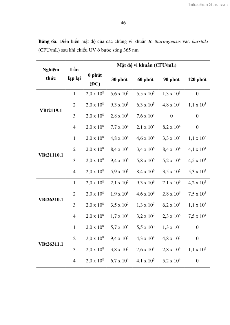 Luận án tiến sĩ bảo vệ thực vật Nghiên cứu sự đa dạng và độc tính của vi khuẩn Bacillus thuringiensis var. kurstaki trên sâu ăn lá hại rau ở Việt Nam - 17 Trang 204