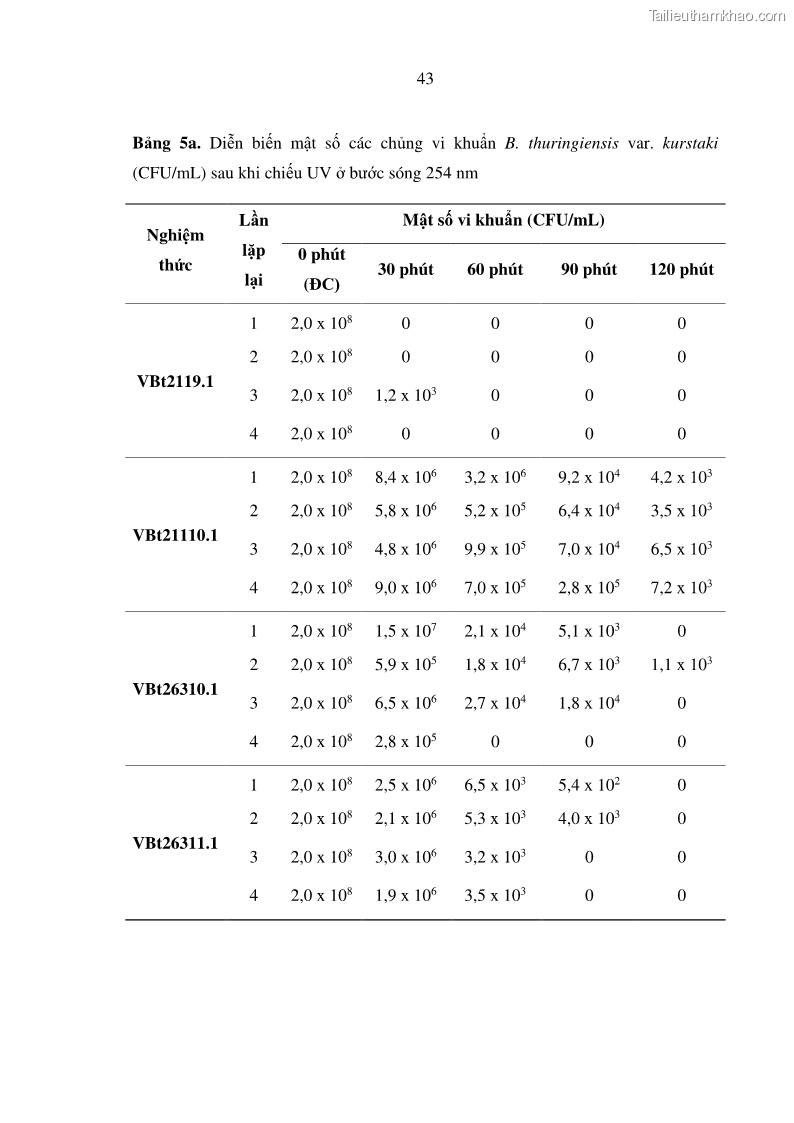 Luận án tiến sĩ bảo vệ thực vật Nghiên cứu sự đa dạng và độc tính của vi khuẩn Bacillus thuringiensis var. kurstaki trên sâu ăn lá hại rau ở Việt Nam - 17 Trang 201