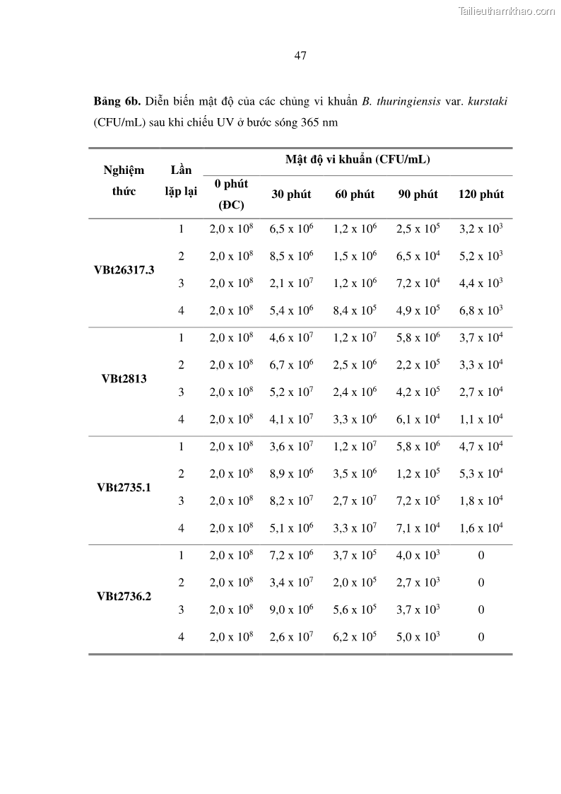 Luận án tiến sĩ bảo vệ thực vật Nghiên cứu sự đa dạng và độc tính của vi khuẩn Bacillus thuringiensis var. kurstaki trên sâu ăn lá hại rau ở Việt Nam - 18 Trang 205