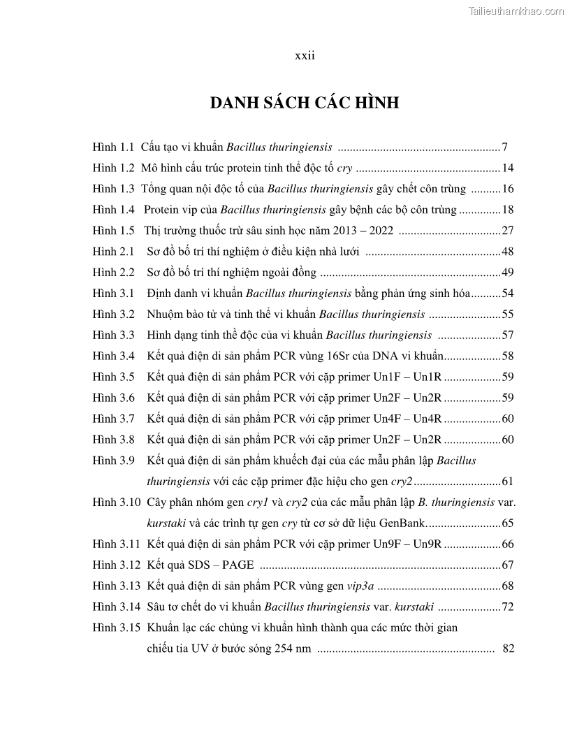Luận án tiến sĩ bảo vệ thực vật Nghiên cứu sự đa dạng và độc tính của vi khuẩn Bacillus thuringiensis var. kurstaki trên sâu ăn lá hại rau ở Việt Nam - 2 Trang 24