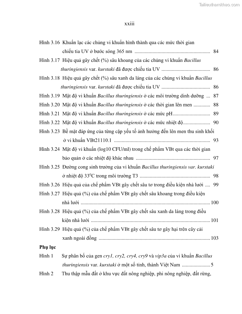 Luận án tiến sĩ bảo vệ thực vật Nghiên cứu sự đa dạng và độc tính của vi khuẩn Bacillus thuringiensis var. kurstaki trên sâu ăn lá hại rau ở Việt Nam - 3 Trang 25
