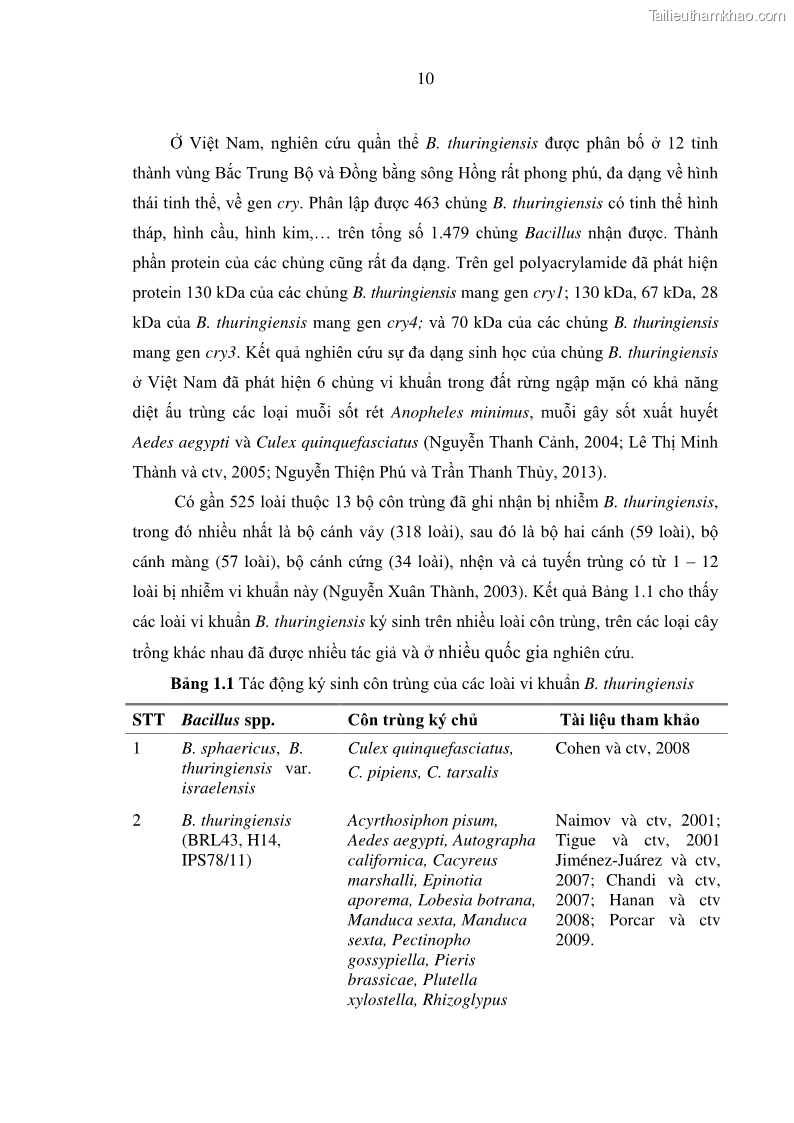 Luận án tiến sĩ bảo vệ thực vật Nghiên cứu sự đa dạng và độc tính của vi khuẩn Bacillus thuringiensis var. kurstaki trên sâu ăn lá hại rau ở Việt Nam - 3 Trang 36