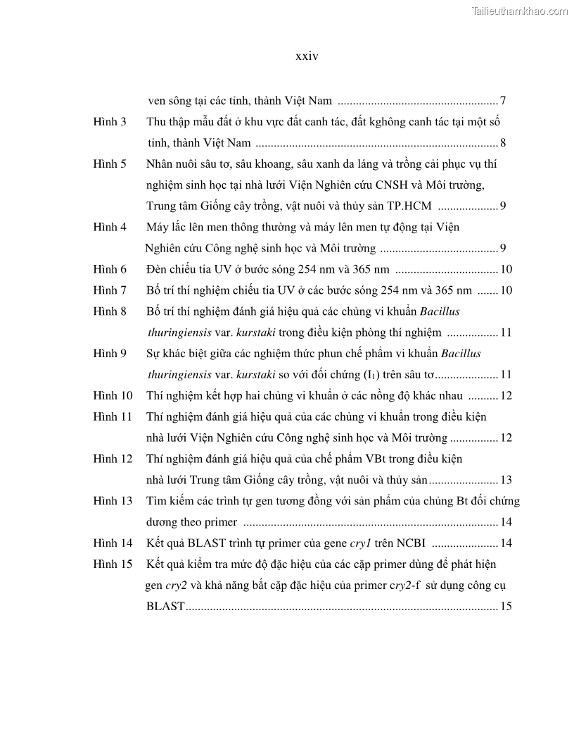 Luận án tiến sĩ bảo vệ thực vật Nghiên cứu sự đa dạng và độc tính của vi khuẩn Bacillus thuringiensis var. kurstaki trên sâu ăn lá hại rau ở Việt Nam - 3 Trang 26