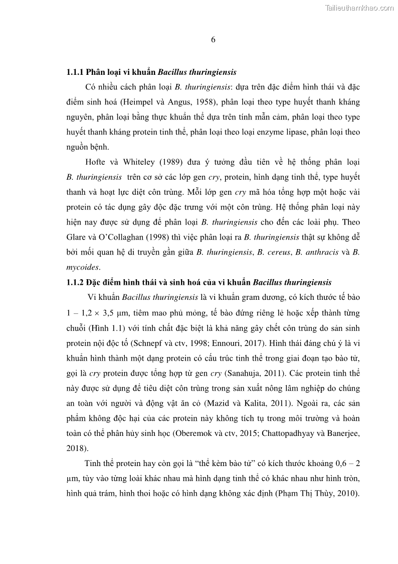 Luận án tiến sĩ bảo vệ thực vật Nghiên cứu sự đa dạng và độc tính của vi khuẩn Bacillus thuringiensis var. kurstaki trên sâu ăn lá hại rau ở Việt Nam - 3 Trang 32