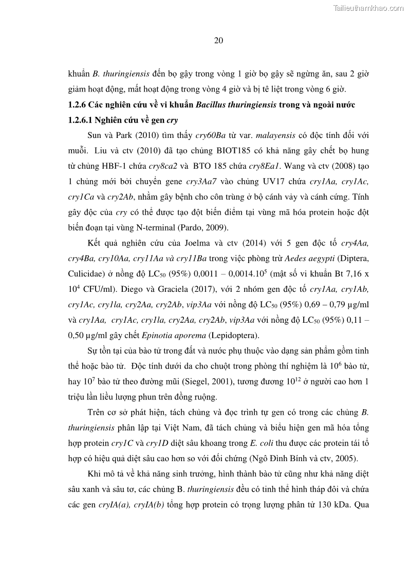Luận án tiến sĩ bảo vệ thực vật Nghiên cứu sự đa dạng và độc tính của vi khuẩn Bacillus thuringiensis var. kurstaki trên sâu ăn lá hại rau ở Việt Nam - 4 Trang 46