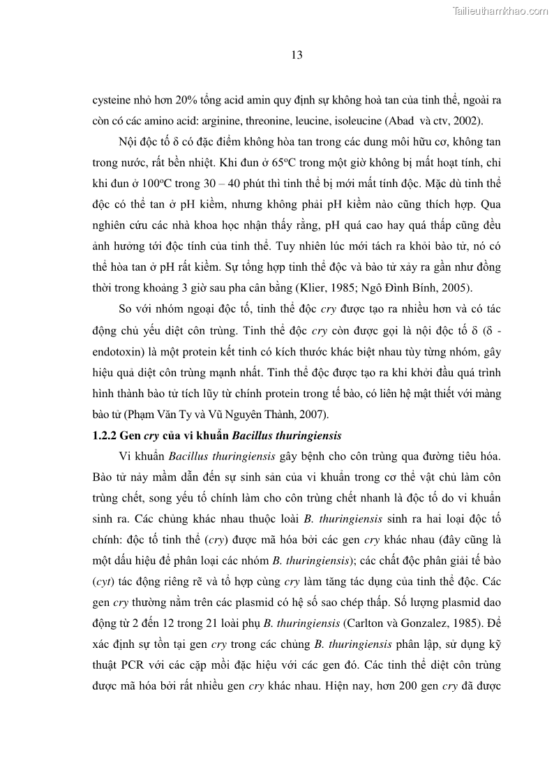 Luận án tiến sĩ bảo vệ thực vật Nghiên cứu sự đa dạng và độc tính của vi khuẩn Bacillus thuringiensis var. kurstaki trên sâu ăn lá hại rau ở Việt Nam - 4 Trang 39
