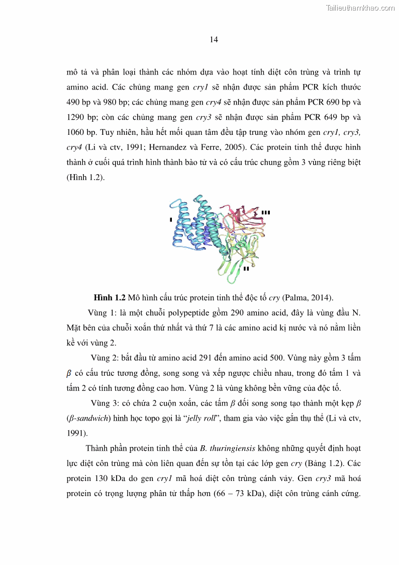 Luận án tiến sĩ bảo vệ thực vật Nghiên cứu sự đa dạng và độc tính của vi khuẩn Bacillus thuringiensis var. kurstaki trên sâu ăn lá hại rau ở Việt Nam - 4 Trang 40