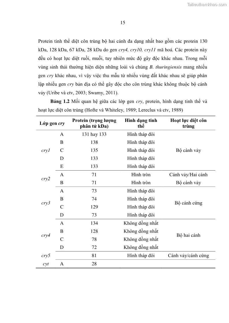 Luận án tiến sĩ bảo vệ thực vật Nghiên cứu sự đa dạng và độc tính của vi khuẩn Bacillus thuringiensis var. kurstaki trên sâu ăn lá hại rau ở Việt Nam - 4 Trang 41