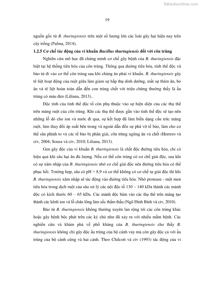 Luận án tiến sĩ bảo vệ thực vật Nghiên cứu sự đa dạng và độc tính của vi khuẩn Bacillus thuringiensis var. kurstaki trên sâu ăn lá hại rau ở Việt Nam - 4 Trang 45