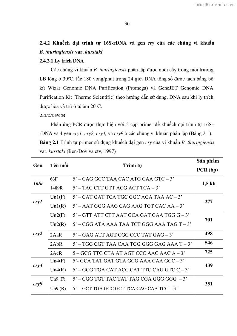Luận án tiến sĩ bảo vệ thực vật Nghiên cứu sự đa dạng và độc tính của vi khuẩn Bacillus thuringiensis var. kurstaki trên sâu ăn lá hại rau ở Việt Nam - 6 Trang 62