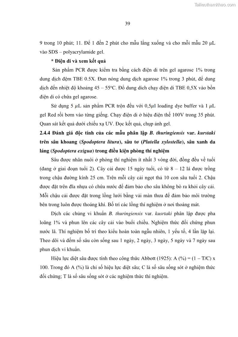 Luận án tiến sĩ bảo vệ thực vật Nghiên cứu sự đa dạng và độc tính của vi khuẩn Bacillus thuringiensis var. kurstaki trên sâu ăn lá hại rau ở Việt Nam - 6 Trang 65