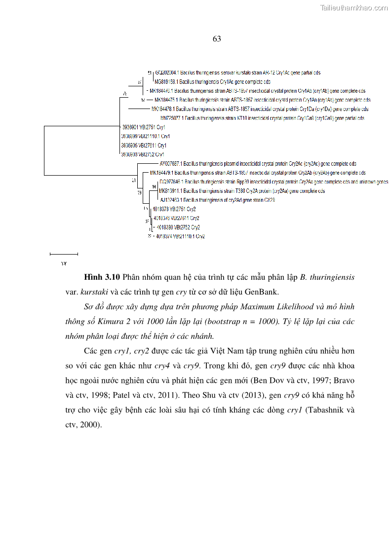 Luận án tiến sĩ bảo vệ thực vật Nghiên cứu sự đa dạng và độc tính của vi khuẩn Bacillus thuringiensis var. kurstaki trên sâu ăn lá hại rau ở Việt Nam - 8 Trang 89